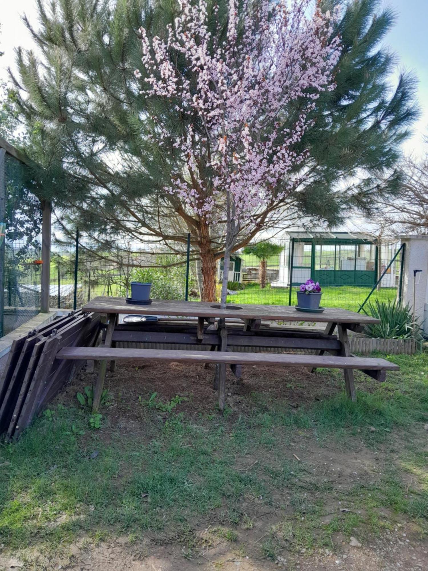 Chambres D Hotes Au P'Tit Bonheur Campagnard Jarnosse Εξωτερικό φωτογραφία