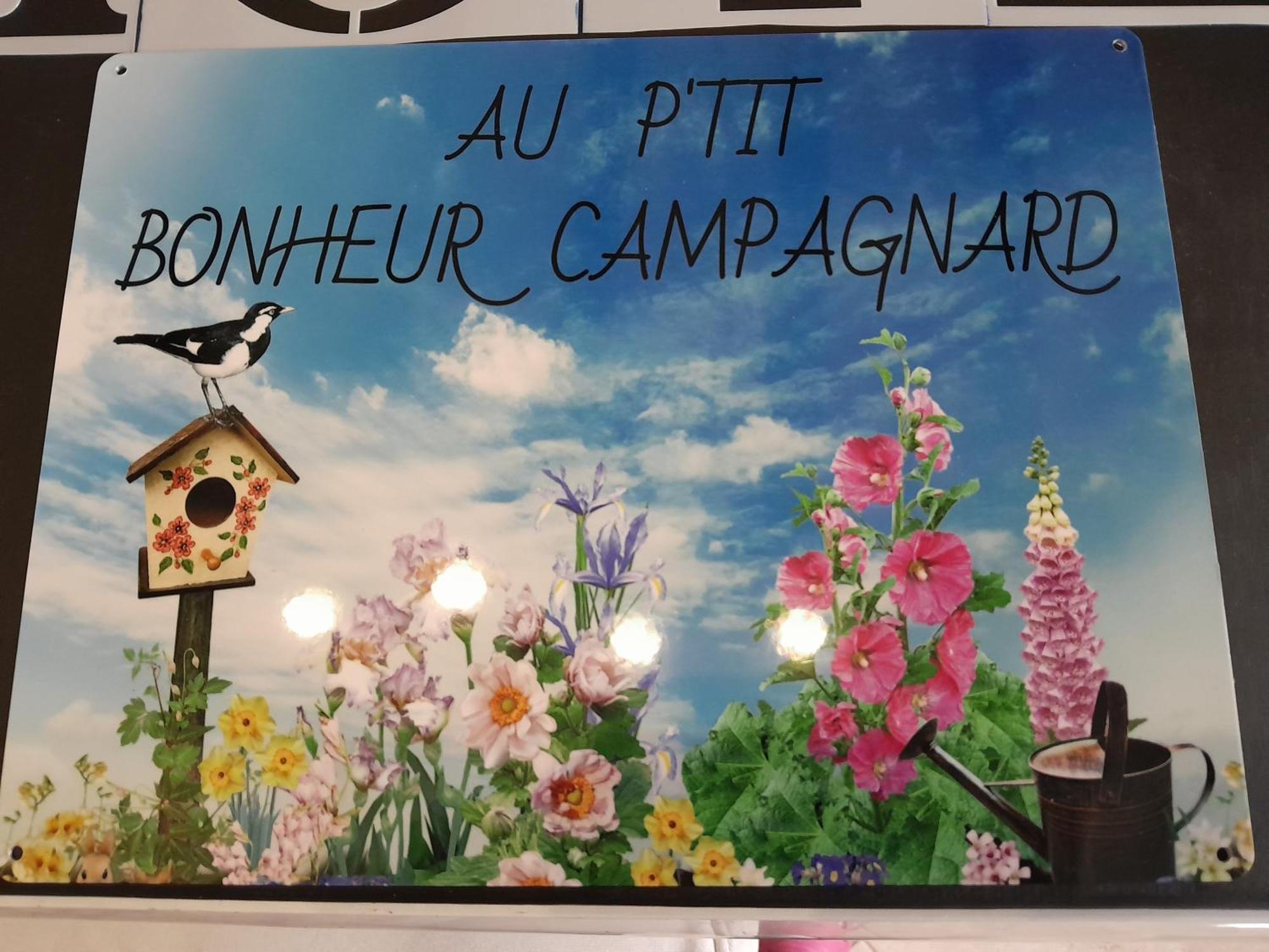 Chambres D Hotes Au P'Tit Bonheur Campagnard Jarnosse Εξωτερικό φωτογραφία