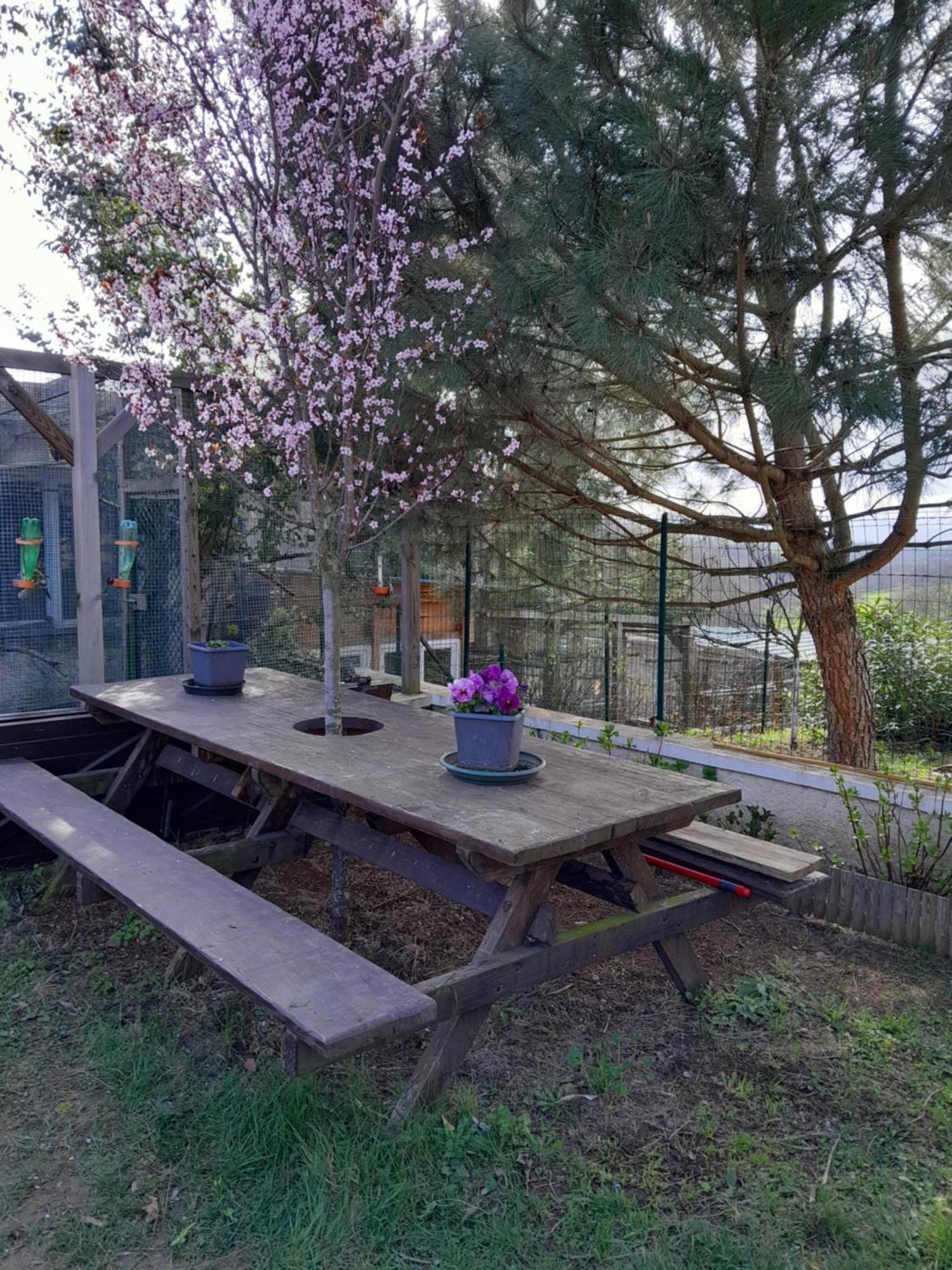 Chambres D Hotes Au P'Tit Bonheur Campagnard Jarnosse Εξωτερικό φωτογραφία